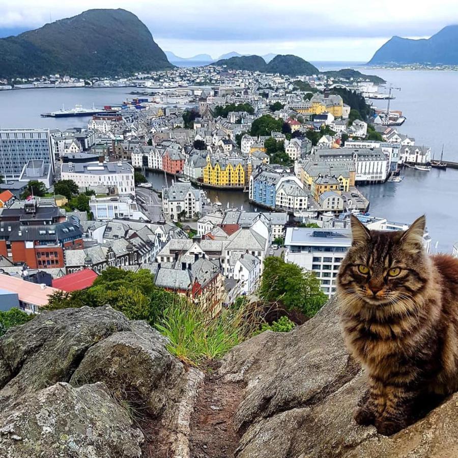 Alesund Apartment With Free Parking Kültér fotó